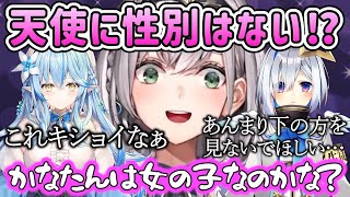 天使の設定がかなたんにも当てはまるか確認しようとするノエル団長w【ホロライブ切り抜き/天音かなた/白銀ノエル/雪花ラミィ】