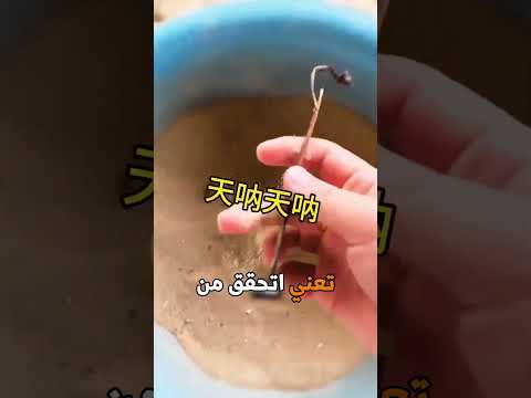 من سرق تونق تونق سحور!!! نهايه الفيديو!!😱🛑😨 #subscribe #shorts #trending #viral