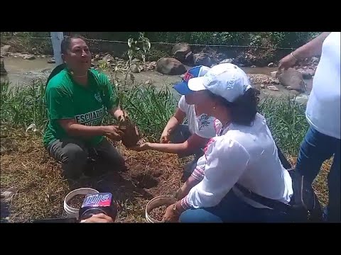 Autoridades participaron en el sembrado de árboles en el día internacional de la madre tierra