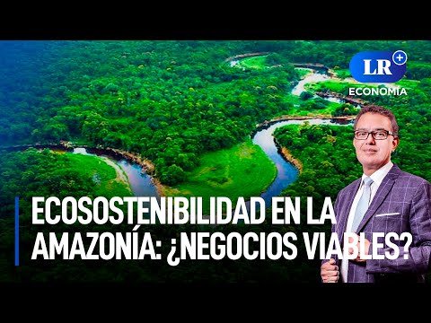 Negocios ecosostenibles: ¿Es posible su desarrollo en la Amazonía? | LR+ Economía