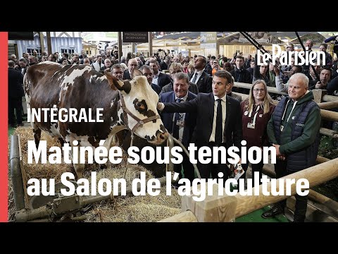 EN DIRECT | Colère des agriculteurs, ouverture sous tension du Salon de l'agriculture