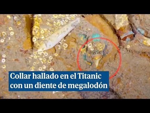 Hallan un collar con un diente de megalodón en los restos del Titanic