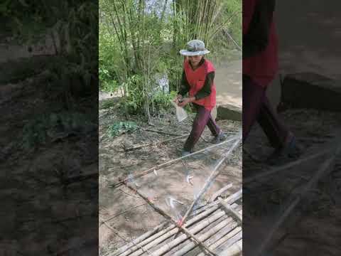ตกปลาแนวใหม่ ตกปลาแนวใหม่
