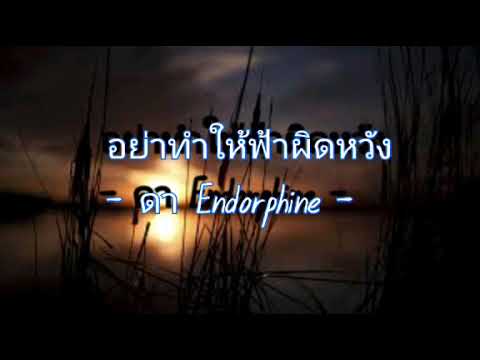 อย่าทำให้ฟ้าผิดหวัง–Endorphi