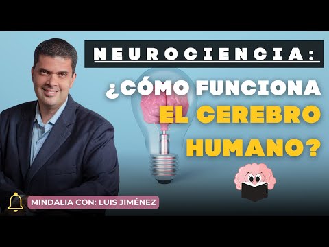 Neurociencia | ¿Cómo funciona el cerebro humano? Por Luis Jiménez