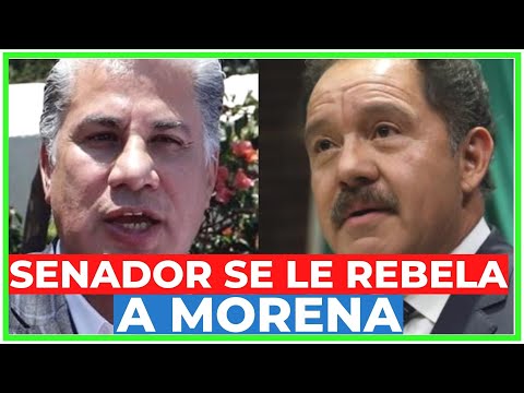 ¡TÓMALA! Así fue como SENADOR de MORENA DESMINTIÓ a AMLO y le DIO la RAZÓN a NORMA PIÑA y la CORTE