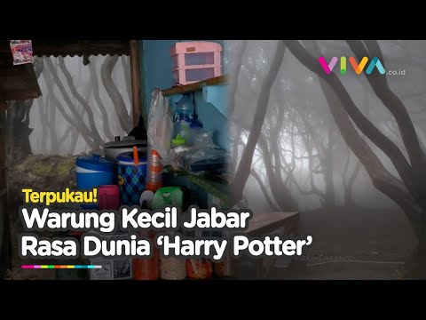 VIRAL Warung Menyimpan Nuansa Hutan Bak Film Harry Potter