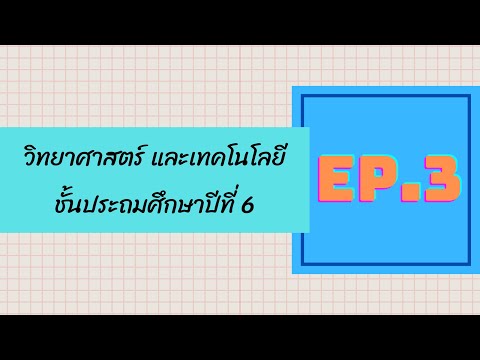 โรงเรียนบ้านหนองพลวง สพป.นม.1 สื่อการเรียนวิชาวิทยาศาสตร์ชั้นป.6สอนโดยครูอาทิตยาและครูวิธู