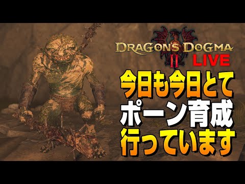 【ドラゴンズドグマ2】10時間以上無駄にしたけど、それでも僕はポーン育成をやめることはない
