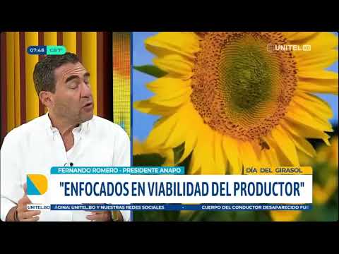 18072024 FERNANDO ROMERO SÁBADO DÍA DEL GIRASOL UNITEL