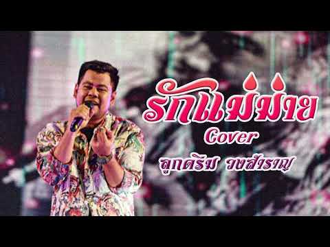 รักแม่หม้าย【COVERVERSION】-