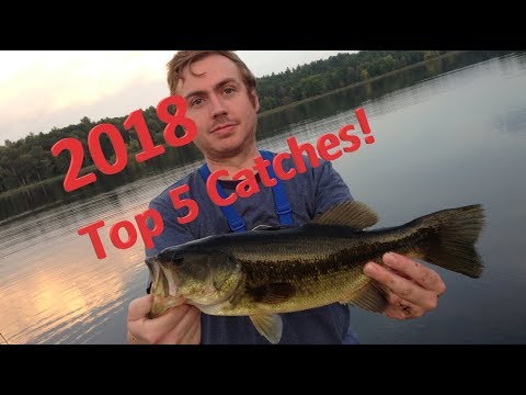 topflight fishing nh - 2018 top 5 catches