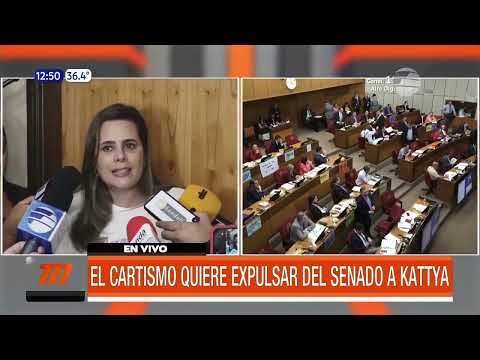 El cartismo quiere expulsar del Senado a Kattya González
