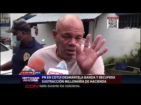 PN en Cotuí desmantela banda y recupera sustracción millonaria de Hacienda