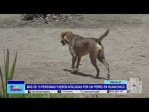 Trujillo: más de 15 personas fueron atacadas por un perro en Huanchaco
