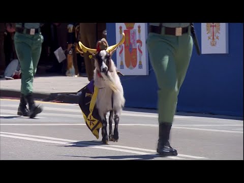 La Legión desfila por Granada acompañada de su tradicional cabra