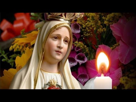 ? SANTO ROSARIO A NUESTRA SEÑORA DE FÁTIMA HOY MARTES 23 DE JULIO 2024. ?