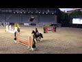 Show jumping horse Groote mooie hengst van EMERALD