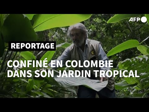 Colombie: un botaniste confiné par la pandémie dans son jardin tropical | AFP