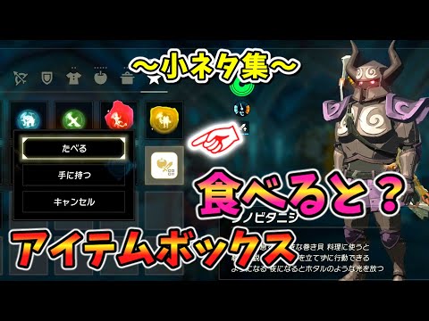 ラストダイブでセーブすると？世界最長の槍･プロローグでアイテムボックスなど小ネタ集【ティアキン TotK】裏技 バグ 検証 ゆっくり実況 glitch