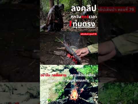 ตัวอย่างคลิปเดินป่า-ตอนที่-70 ตัวอย่างคลิปเดินป่า-ตอนที่-70