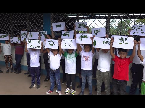 Estudiantes del colegio San José de los Ríos comprometidos con el medio ambiente
