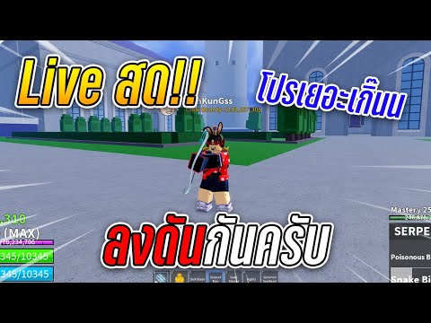 🔴-Live-|-Blox-Fruits-|-ล่าไม่ไ 🔴-Live-|-Blox-Fruits-|-ล่าไม่ไ
