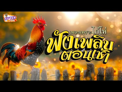 เพลงเพราะไก่โห่ฟังเพลินยามเช้