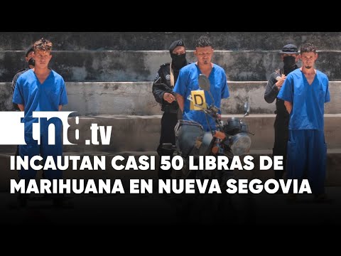Policía incauta marihuana valorada en casi USD 5 mil en Nueva Segovia - Nicaragua