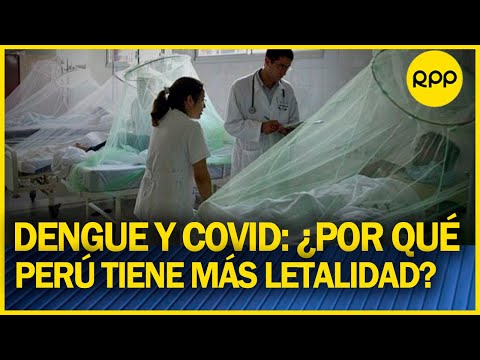 ¿Por qué Perú es uno de los países con mayor letalidad por dengue?