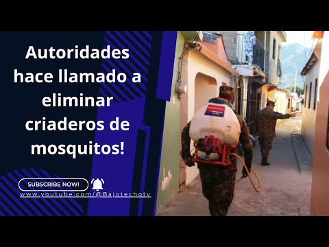 Salud Pública hace llamado descacharrización y eliminación de criaderos de mosquitos del Dengue