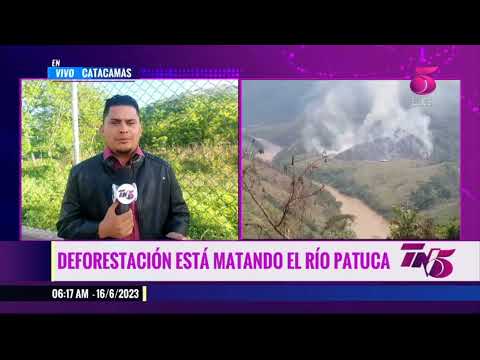 Deforestación está matando el río Patuca