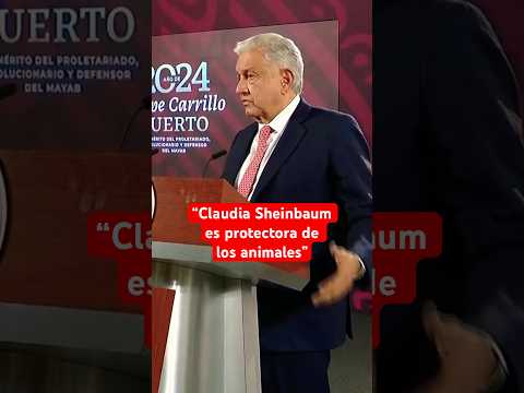 AMLO insiste que el gobierno de Sheinbaum procurará el bienestar de los animales #shorts