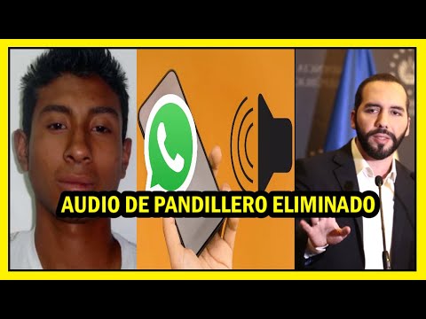 Se publica audio de sujeto Robiño quería huir a Guatemala | Faes y la subordinación al presidente