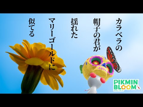 軽やかに歌いながらカラベラデコをコンプするまでやってくゾ！【ピクミンブルーム/PikminBloom】