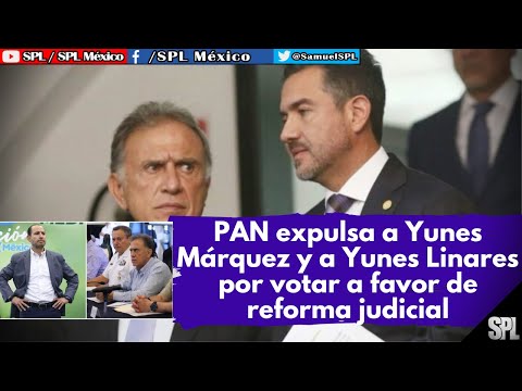 PAN EXPULSA a Yunes Márquez y a Yunes Linares por votar a favor de la REFORMA JUDICIAL de AMLO