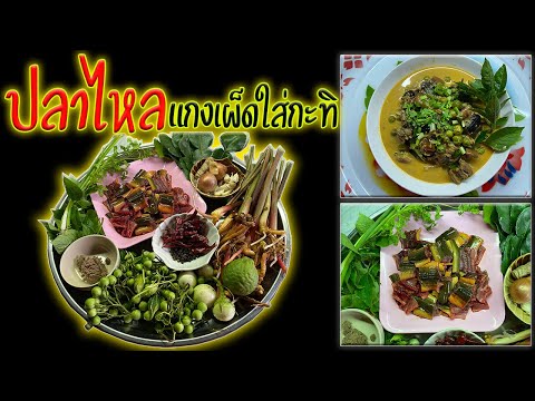 แกงเผ็ดปลาไหล-ใส่กะทิ-สุดยอดอา แกงเผ็ดปลาไหล-ใส่กะทิ-สุดยอดอา
