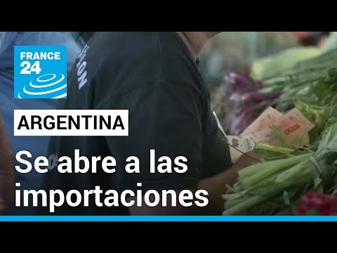 Argentina se abre a las importaciones buscando reducir el costo de productos básicos • FRANCE 24