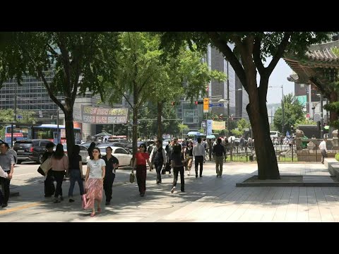 Poutine à Pyongyang : l'inquiétude à Séoul | AFP