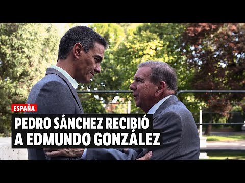 “España trabaja por la democracia venezolana”: Pedro Sánchez | El Espectador