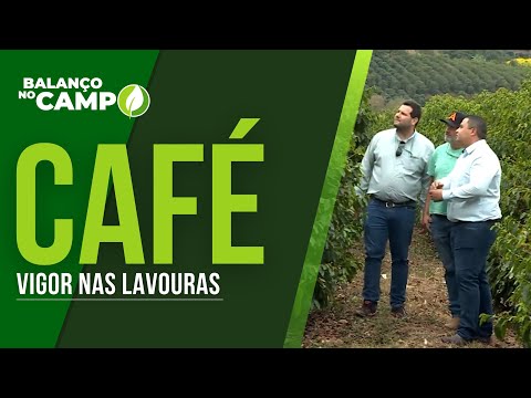 CAFÉ: LAVOURAS COM VIGOR SURPREENDEM PRODUTOR