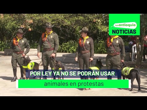 Por ley ya no se podrán usar animales en protestas - Teleantioquia Noticias