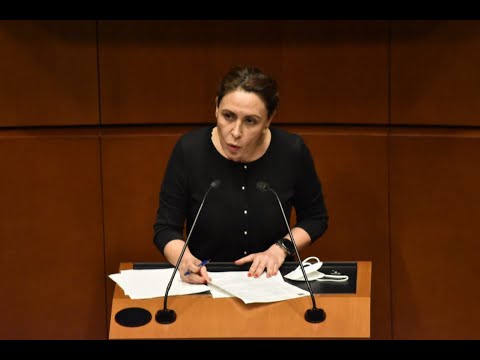 Dip. Rocío Barrera (Morena) - Dictámenes sobre la Primera Comisión sobre Violencia en niñas