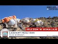 Jelczem w Himalaje - jazda przez Iran