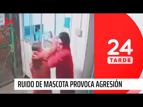 Incidente en Talca: residente ataca a conserje por ruido de mascota | 24 Horas TVN Chile