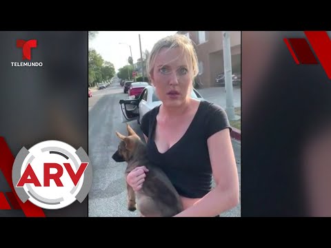 Mujer blanca agrede a un hombre afroamericano y le lanza a su perro | Al Rojo Vivo | Telemundo