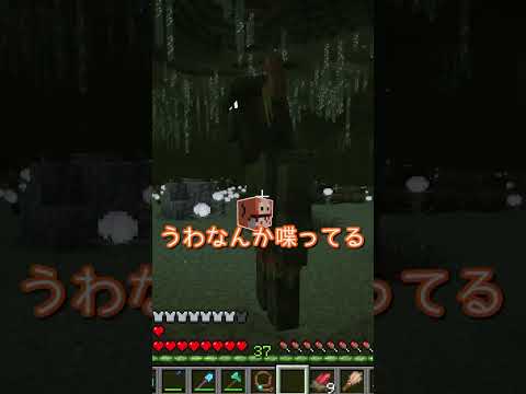 どっち?【マイクラ】