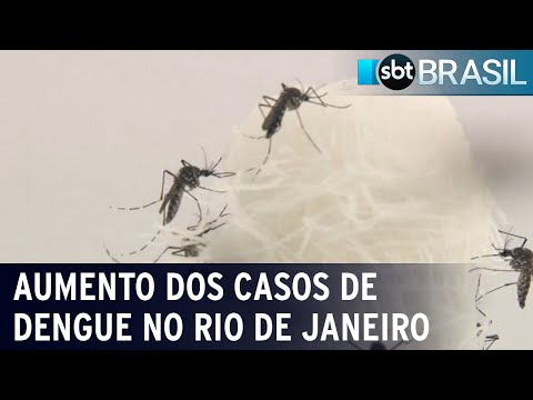 Rio de Janeiro já registrou mais de 4.000 casos de dengue em janeiro | SBT Brasil (19/01/24)
