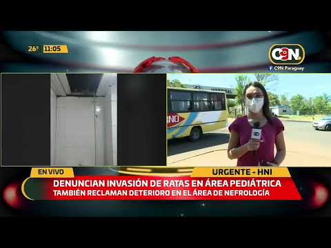Denuncian invasión de ratas en el Hospital Nacional de Itauguá