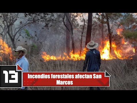 Incendios forestales afectan San Marcos